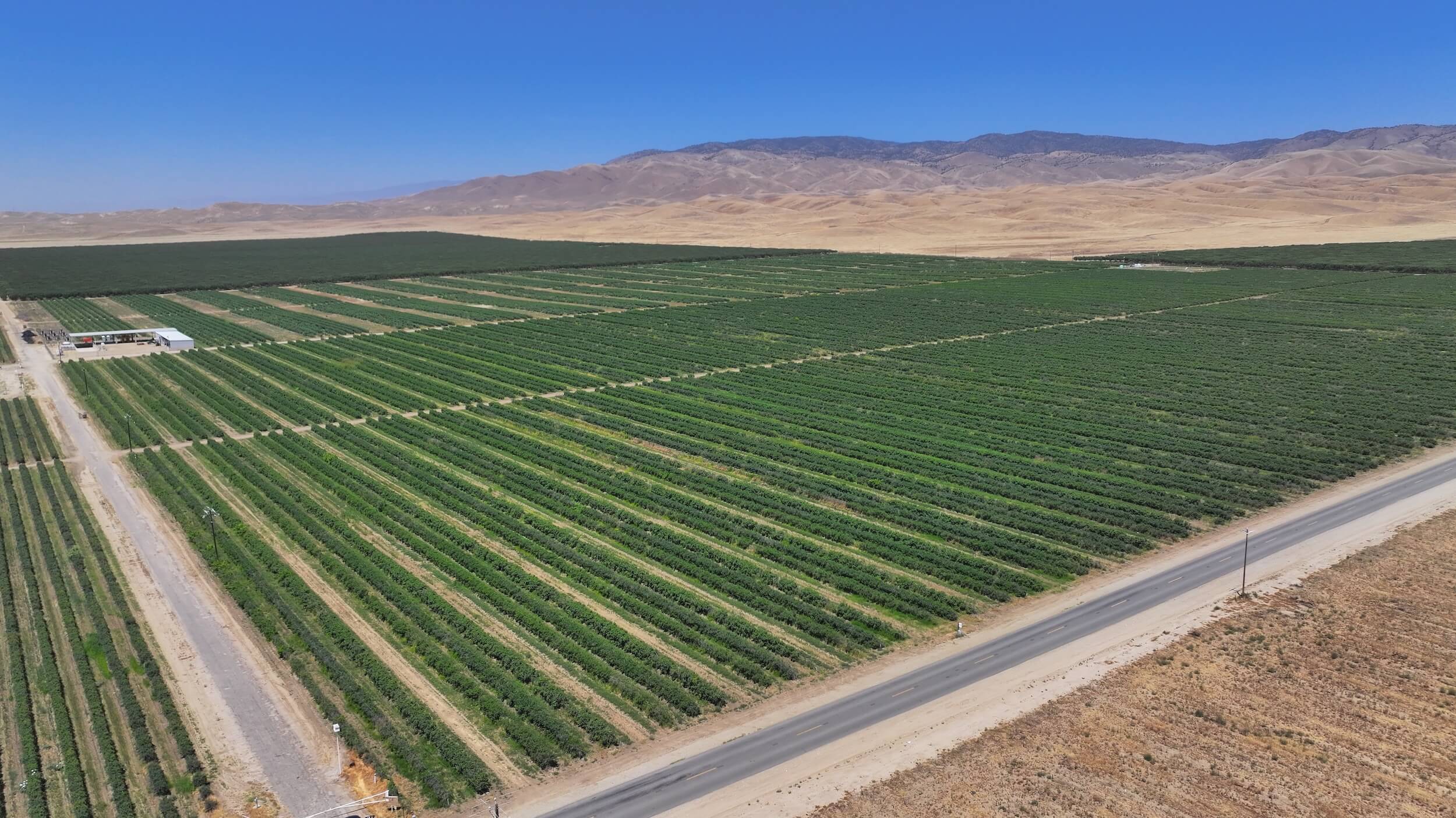 159.02 GROSS ACRES PLANTED TO BLUEBERRIES LOCATED IN WHEELER RIDGE-MARICOPA WATER STORAGE DISTRICT