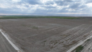 160 GROSS ACRES OF OPEN GROUND LOCATED IN WHEELER RIDGE-MARICOPA WATER STORAGE DISTRICT