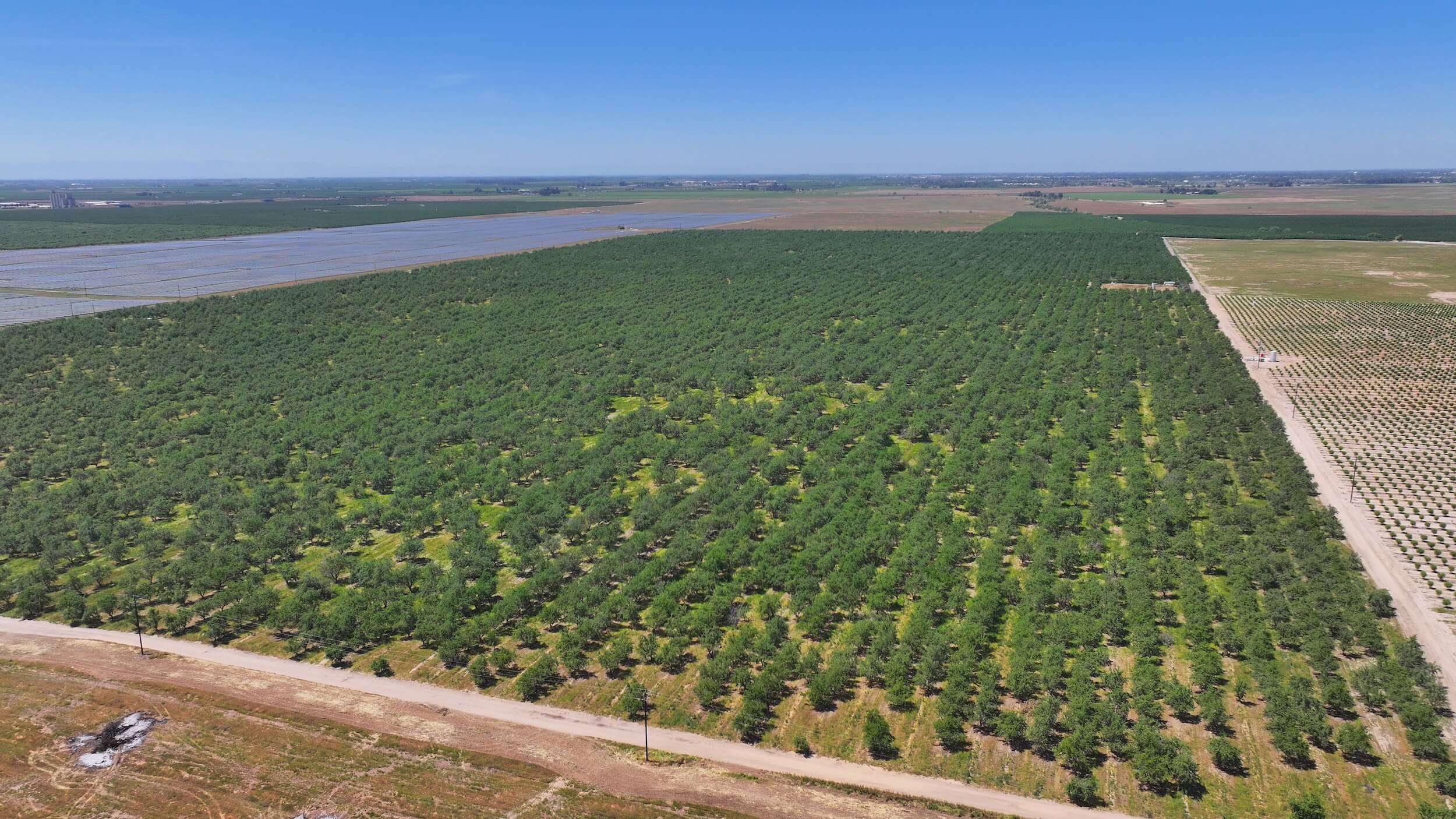 317.31 GROSS ACRES PLANTED TO ALMONDS BENEFITING FROM TWO AG WELLS