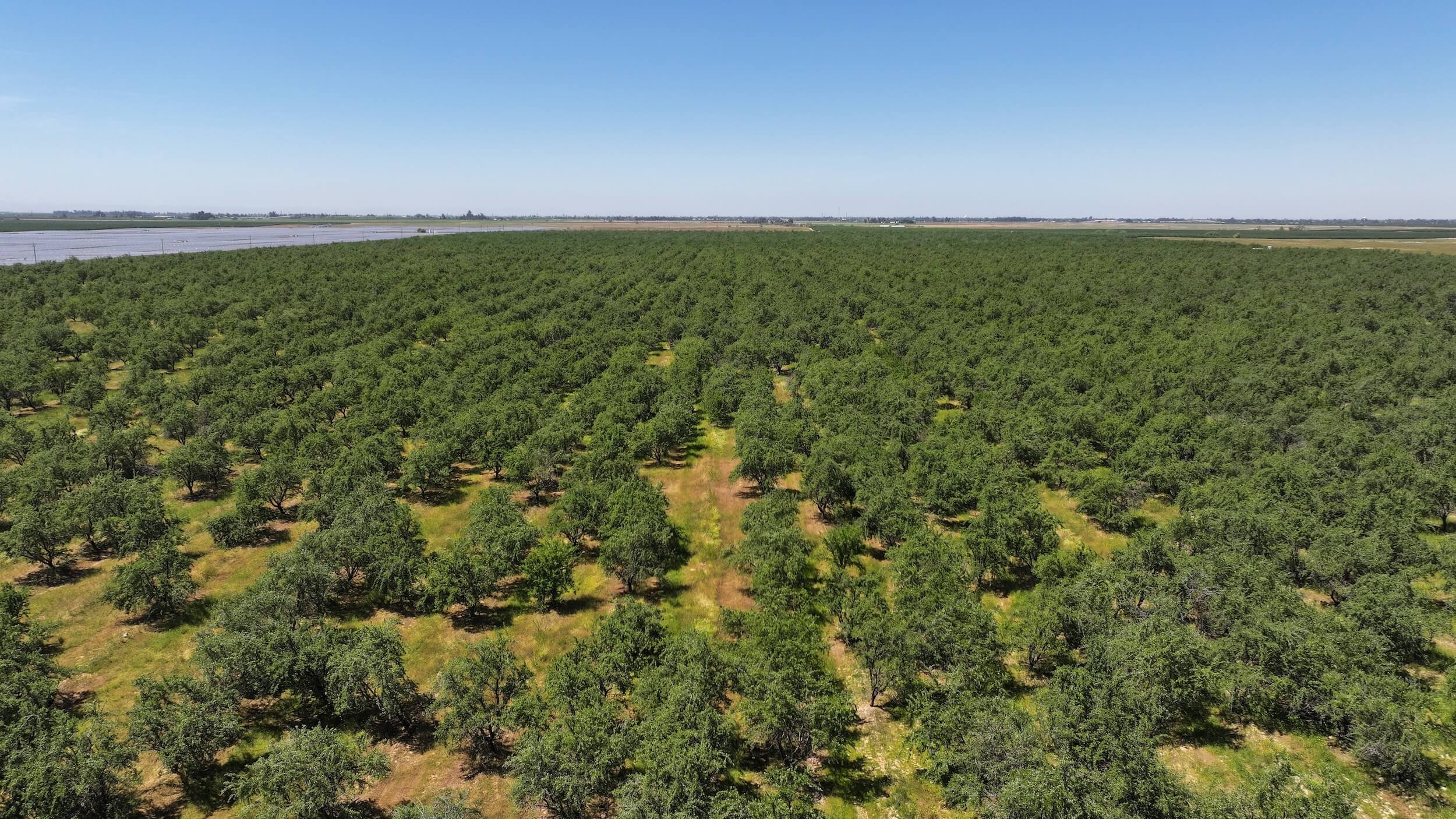 317.31 GROSS ACRES PLANTED TO ALMONDS BENEFITING FROM TWO AG WELLS
