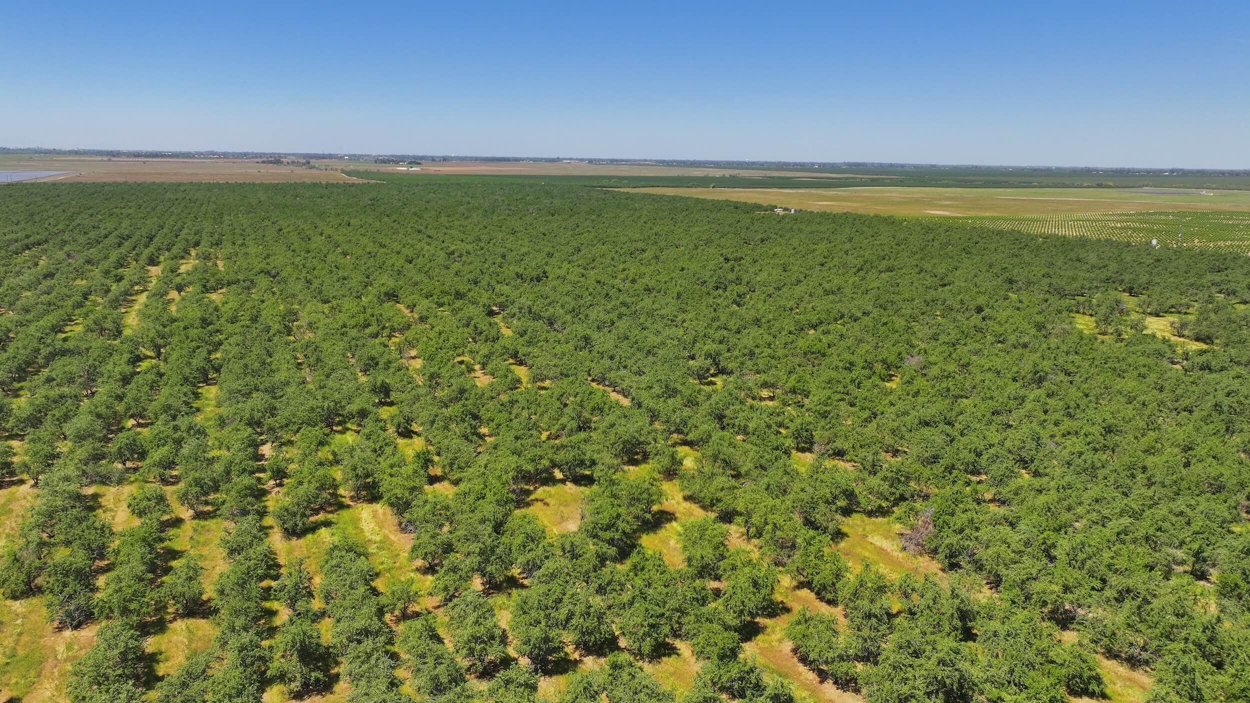 317.31 GROSS ACRES PLANTED TO ALMONDS BENEFITING FROM TWO AG WELLS