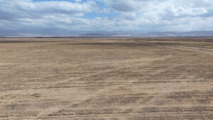 329.95 GROSS ACRES OF OPEN GROUND LOCATED IN WHEELER RIDGE-MARICOPA WATER STORAGE DISTRICT
