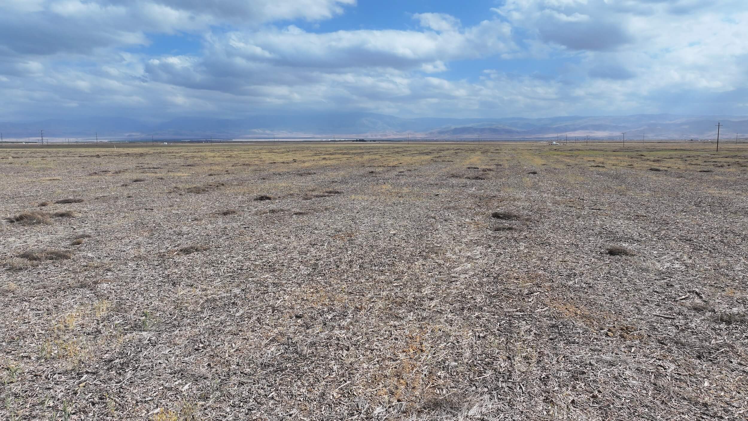 329.95 GROSS ACRES OF OPEN GROUND LOCATED IN WHEELER RIDGE-MARICOPA WATER STORAGE DISTRICT