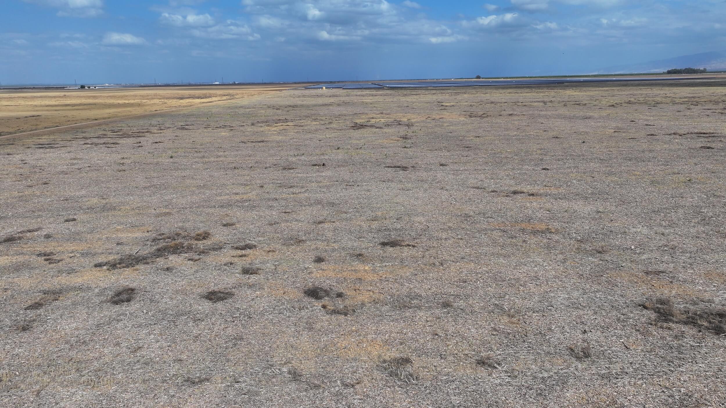 329.95 GROSS ACRES OF OPEN GROUND LOCATED IN WHEELER RIDGE-MARICOPA WATER STORAGE DISTRICT
