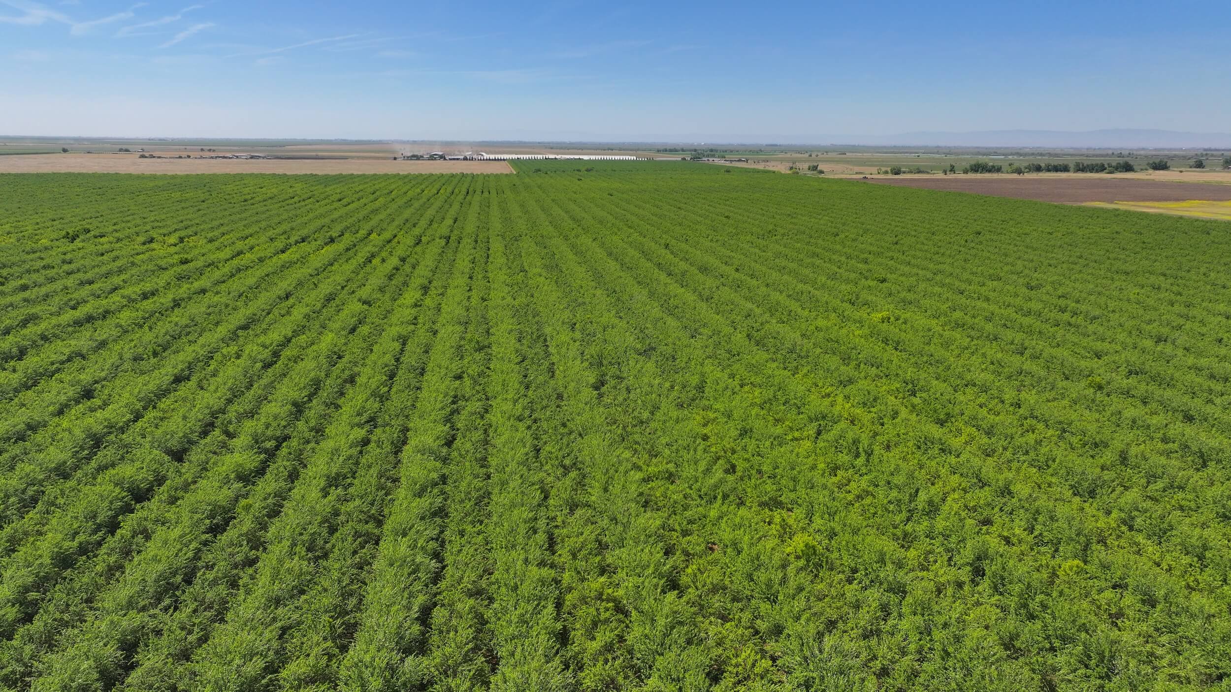 718.06 GROSS ACRES PLANTED TO ALMONDS WITH CLAIMED DIVERSION RIGHTS, A CURRENT CONTRACT WITH MERCED IRRIGATION DISTRICT AND THREE AG WELLS