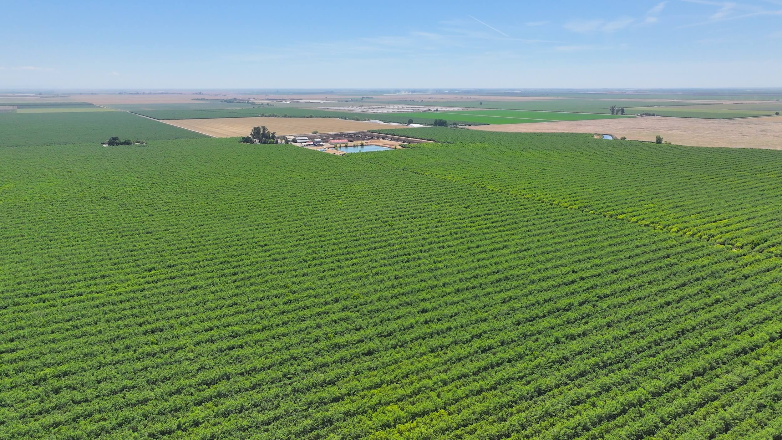 718.06 GROSS ACRES PLANTED TO ALMONDS WITH CLAIMED DIVERSION RIGHTS, A CURRENT CONTRACT WITH MERCED IRRIGATION DISTRICT AND THREE AG WELLS