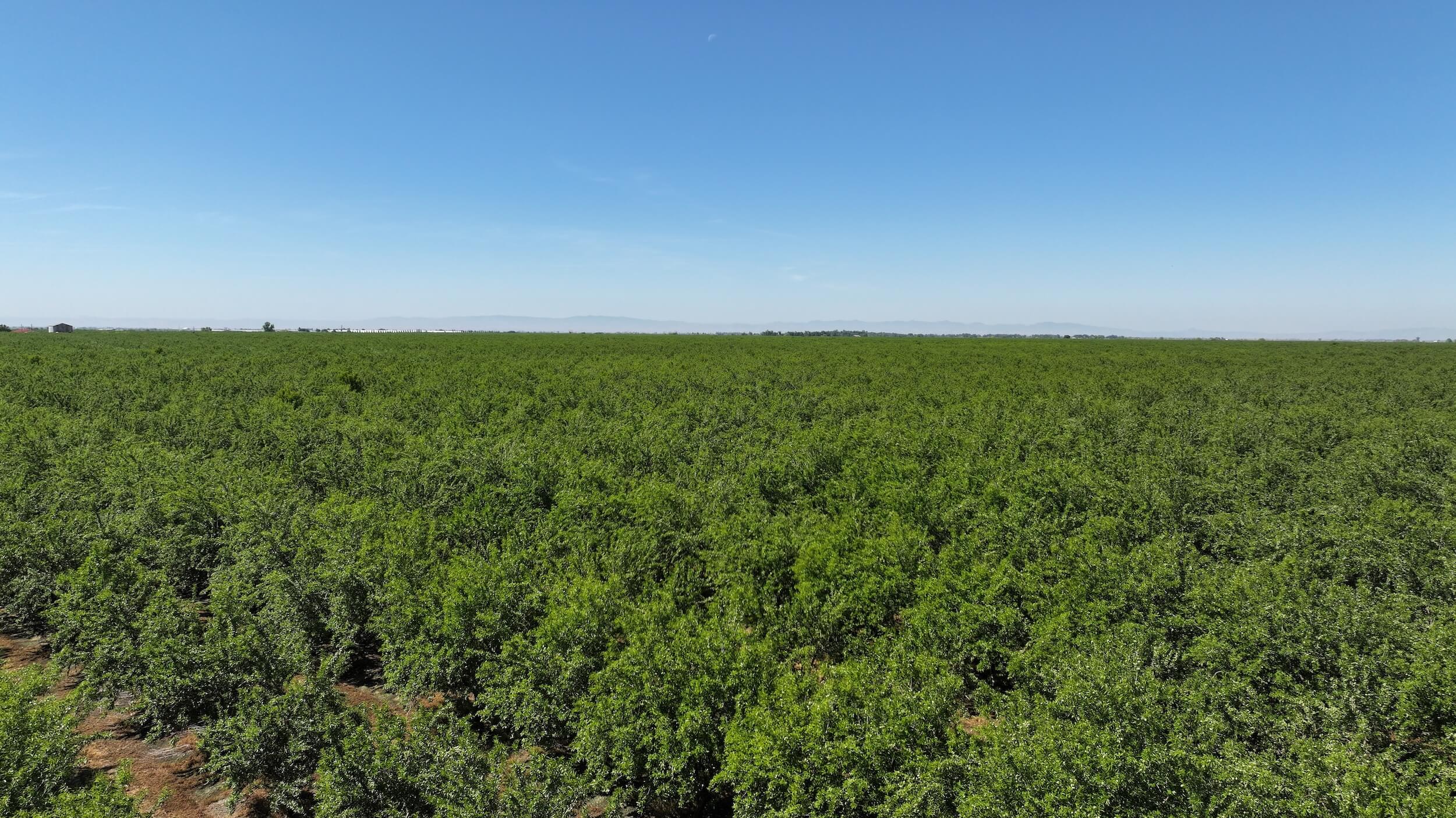718.06 GROSS ACRES PLANTED TO ALMONDS WITH CLAIMED DIVERSION RIGHTS, A CURRENT CONTRACT WITH MERCED IRRIGATION DISTRICT AND THREE AG WELLS