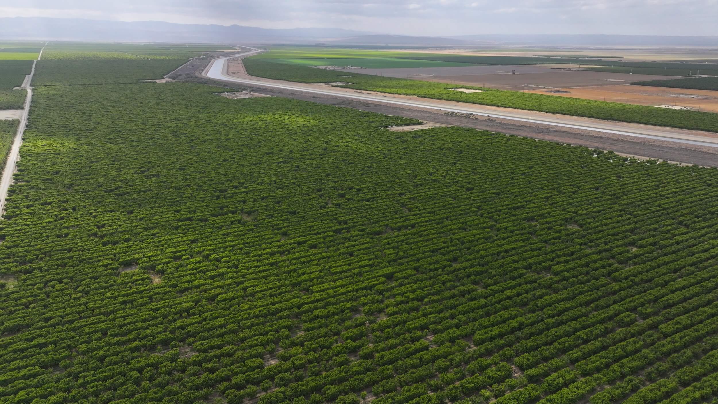 789.11 GROSS ACRES PLANTED TO CHERRIES WITH OPEN GROUND LOCATED IN WHEELER RIDGE-MARICOPA WATER STORAGE DISTRICT
