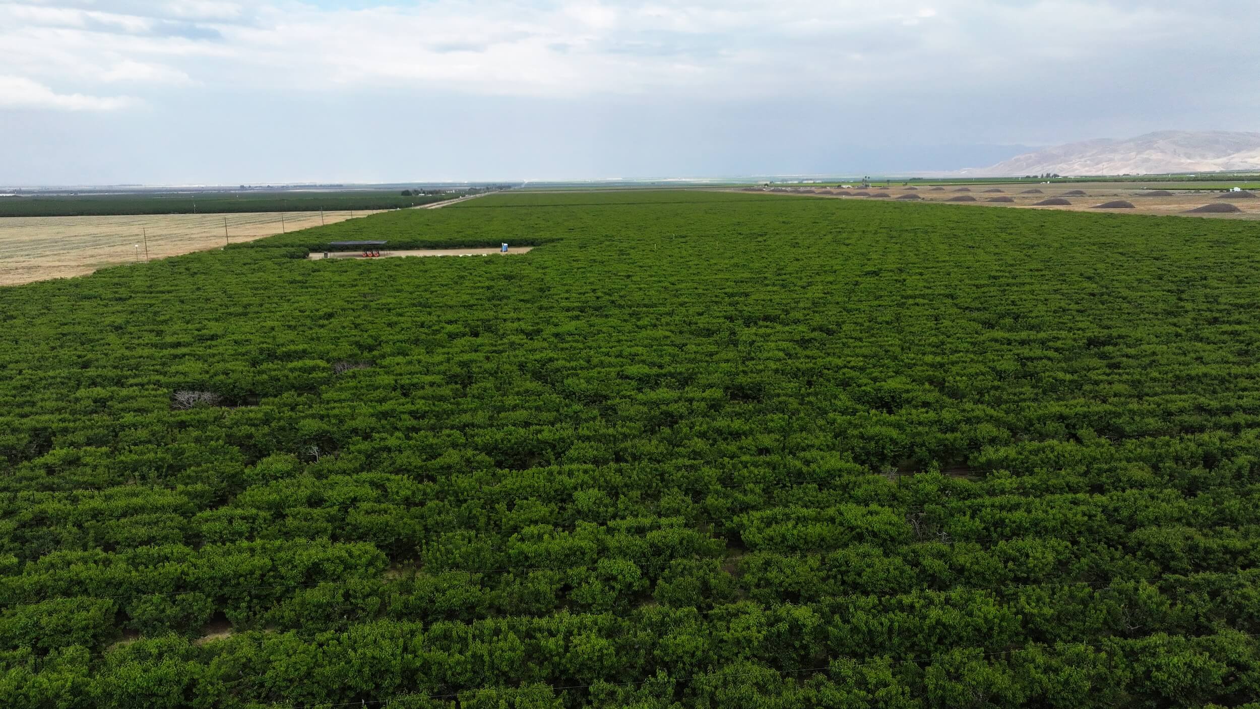 789.11 GROSS ACRES PLANTED TO CHERRIES WITH OPEN GROUND LOCATED IN WHEELER RIDGE-MARICOPA WATER STORAGE DISTRICT