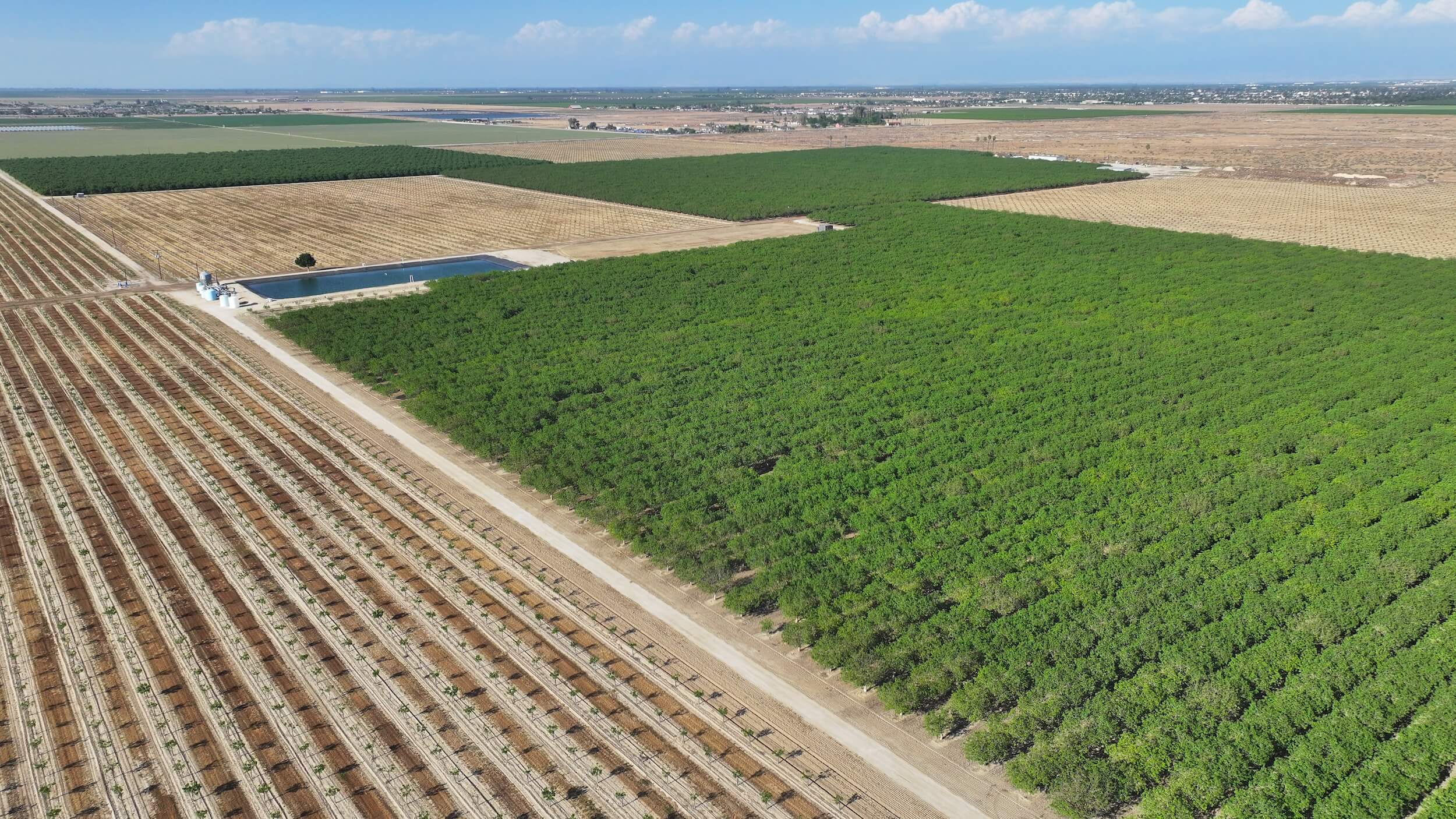 867.51 GROSS ACRES PLANTED TO PISTACHIOS AND ALMONDS LOCATED IN SOUTHERN SAN JOAQUIN MUNICIPAL UTILITY DISTRICT