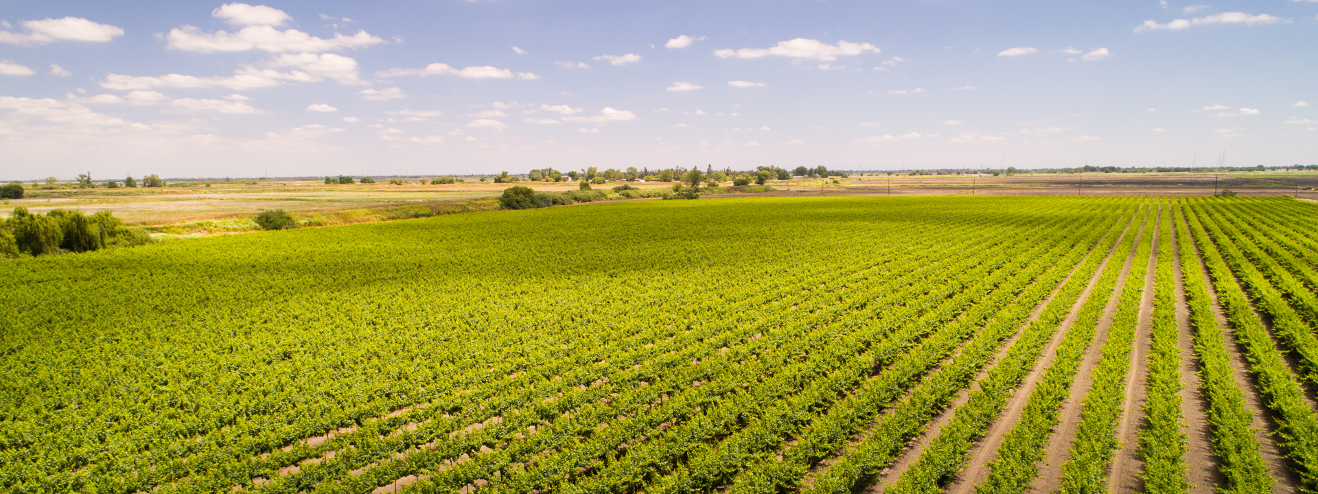 Ca Ag Properties