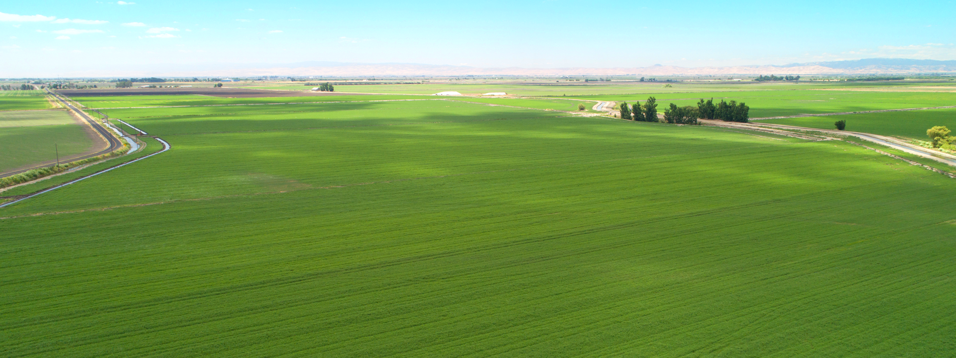 Ca Ag Properties