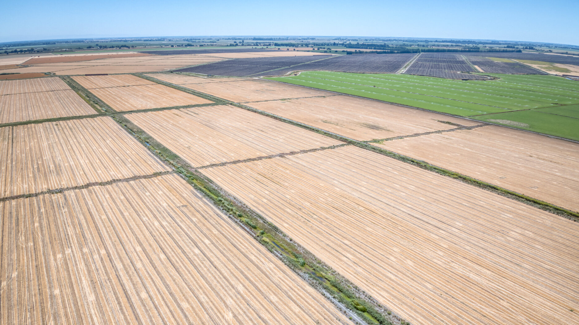216.54 GROSS ACRES OF FARMLAND MOST RECENTLY PLANTED TO WHEAT HAY