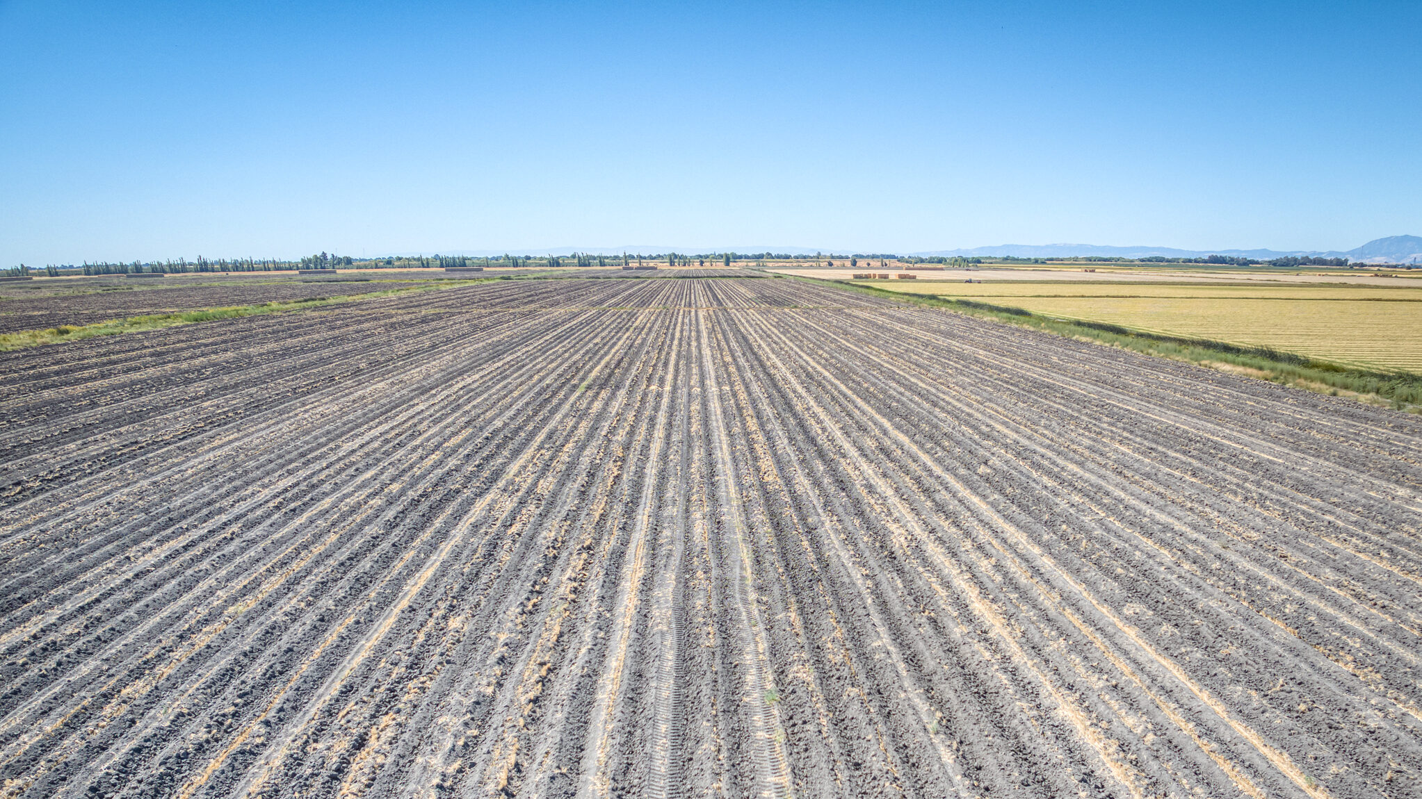 396.46 GROSS ACRES OF FARMLAND MOST RECENTLY PLANTED TO WHEAT HAY