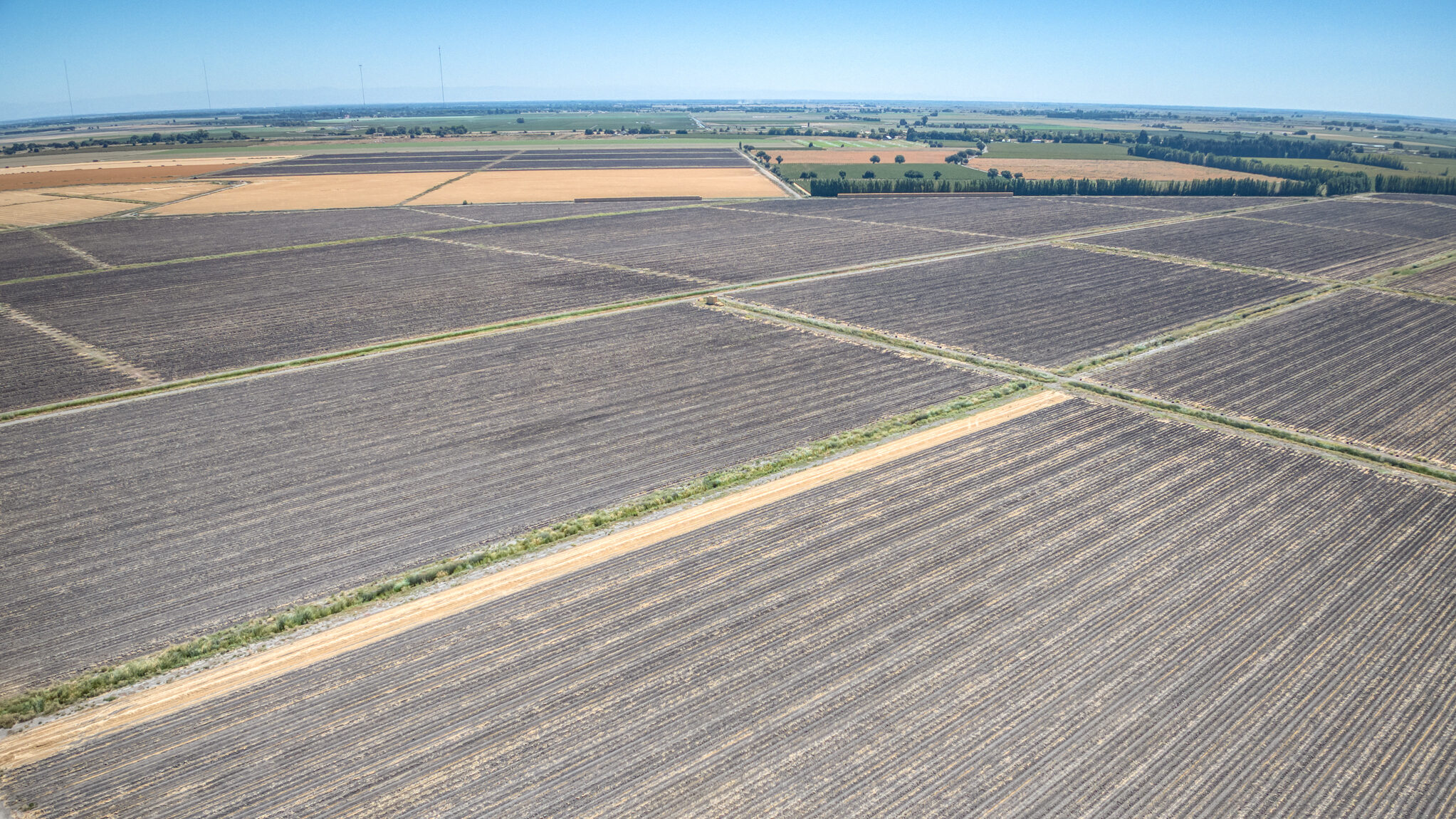 522.74 GROSS ACRES OF FARMLAND MOST RECENTLY PLANTED TO WHEAT HAY