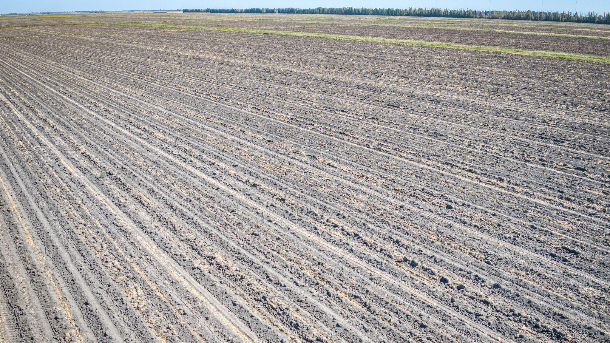396.46 GROSS ACRES OF FARMLAND MOST RECENTLY PLANTED TO WHEAT HAY