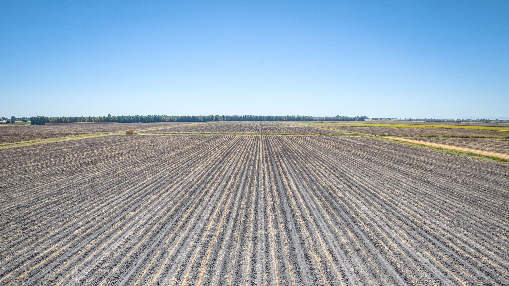522.74 GROSS ACRES OF FARMLAND MOST RECENTLY PLANTED TO WHEAT HAY