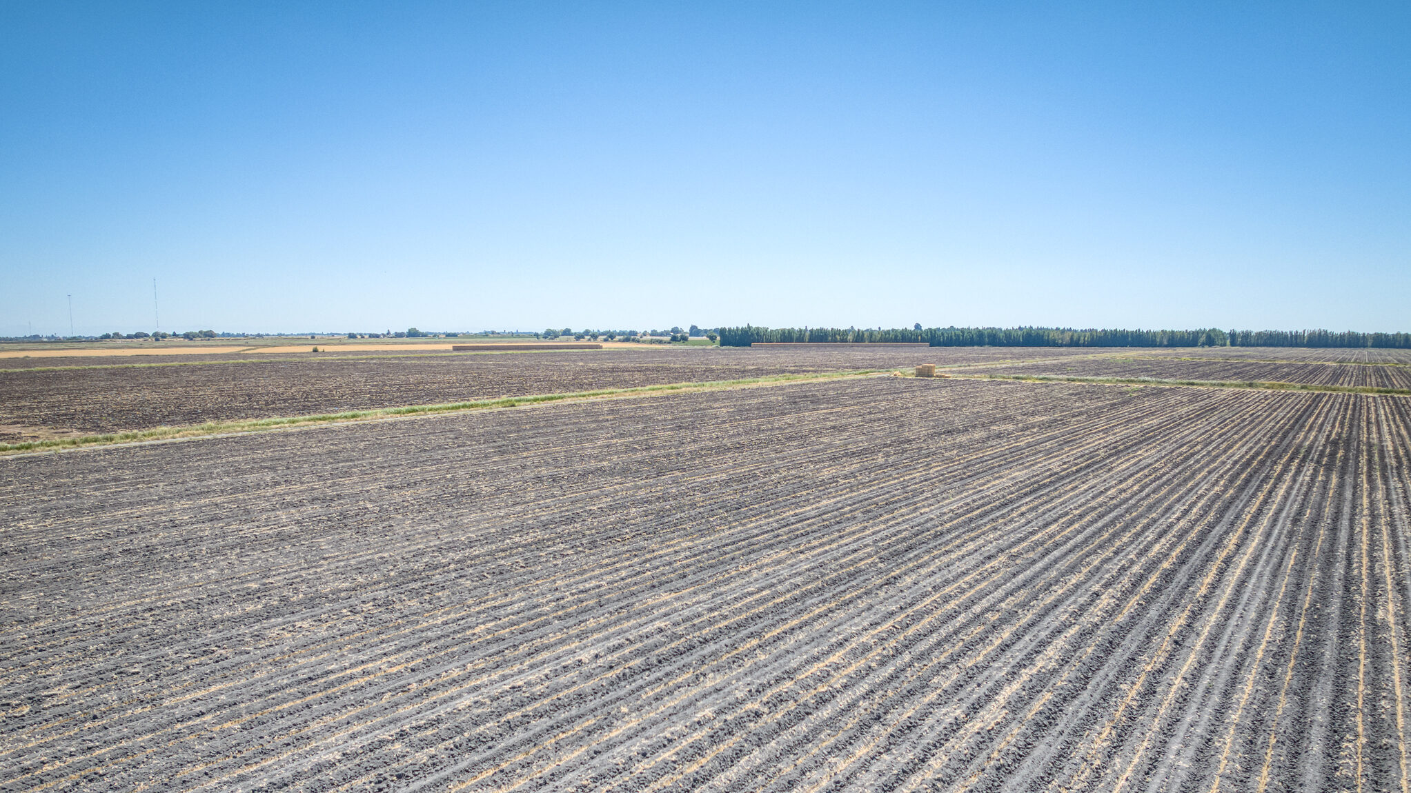 522.74 GROSS ACRES OF FARMLAND MOST RECENTLY PLANTED TO WHEAT HAY