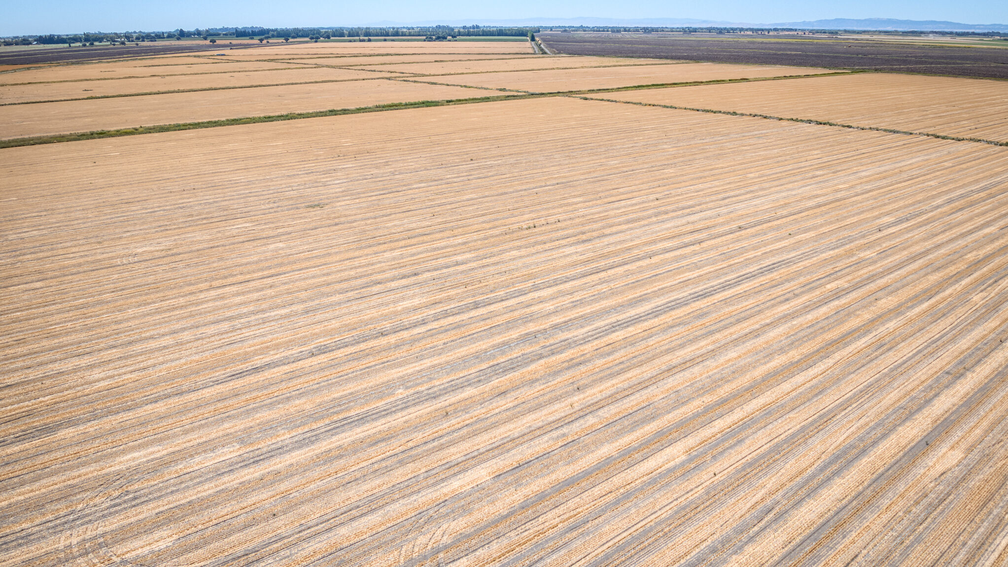 443.31 GROSS ACRES OF FARMLAND MOST RECENTLY PLANTED TO WHEAT HAY