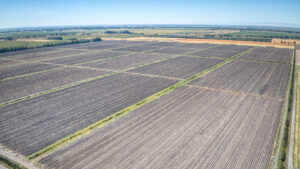 396.46 GROSS ACRES OF FARMLAND MOST RECENTLY PLANTED TO WHEAT HAY