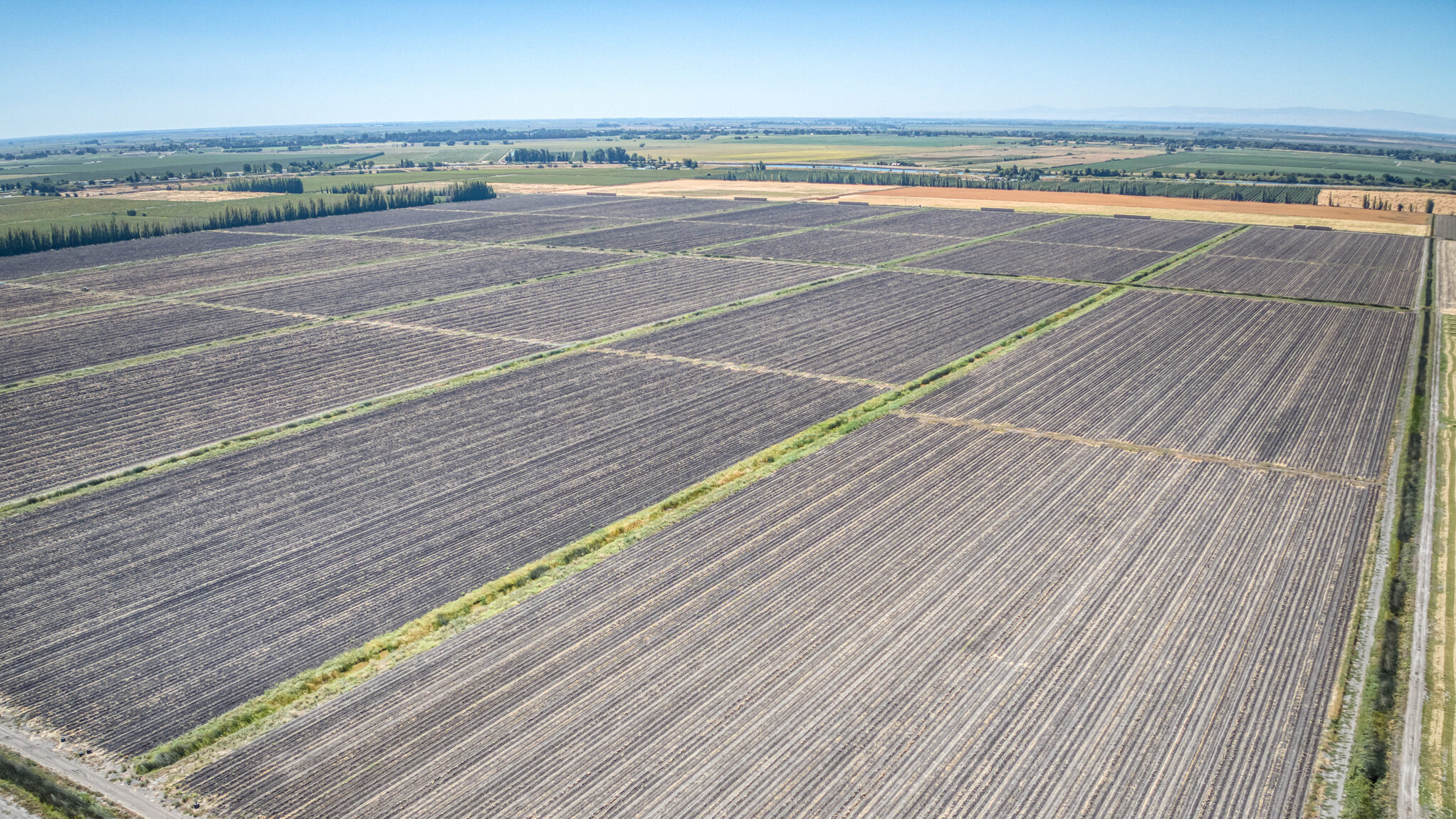 396.46 GROSS ACRES OF FARMLAND MOST RECENTLY PLANTED TO WHEAT HAY