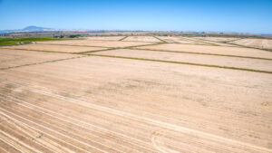 602.34 GROSS ACRES OF FARMLAND MOST RECENTLY PLANTED TO TRITICALE HAY