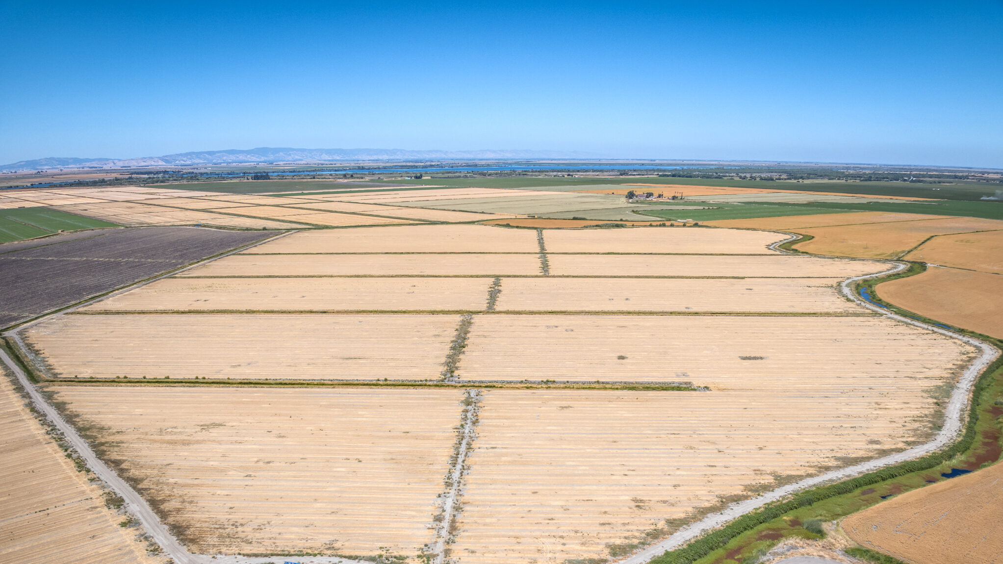 443.31 GROSS ACRES OF FARMLAND MOST RECENTLY PLANTED TO WHEAT HAY