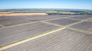 522.74 GROSS ACRES OF FARMLAND MOST RECENTLY PLANTED TO WHEAT HAY