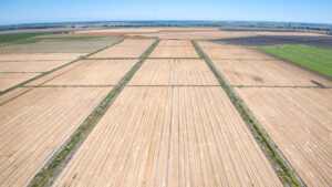 216.54 GROSS ACRES OF FARMLAND MOST RECENTLY PLANTED TO WHEAT HAY