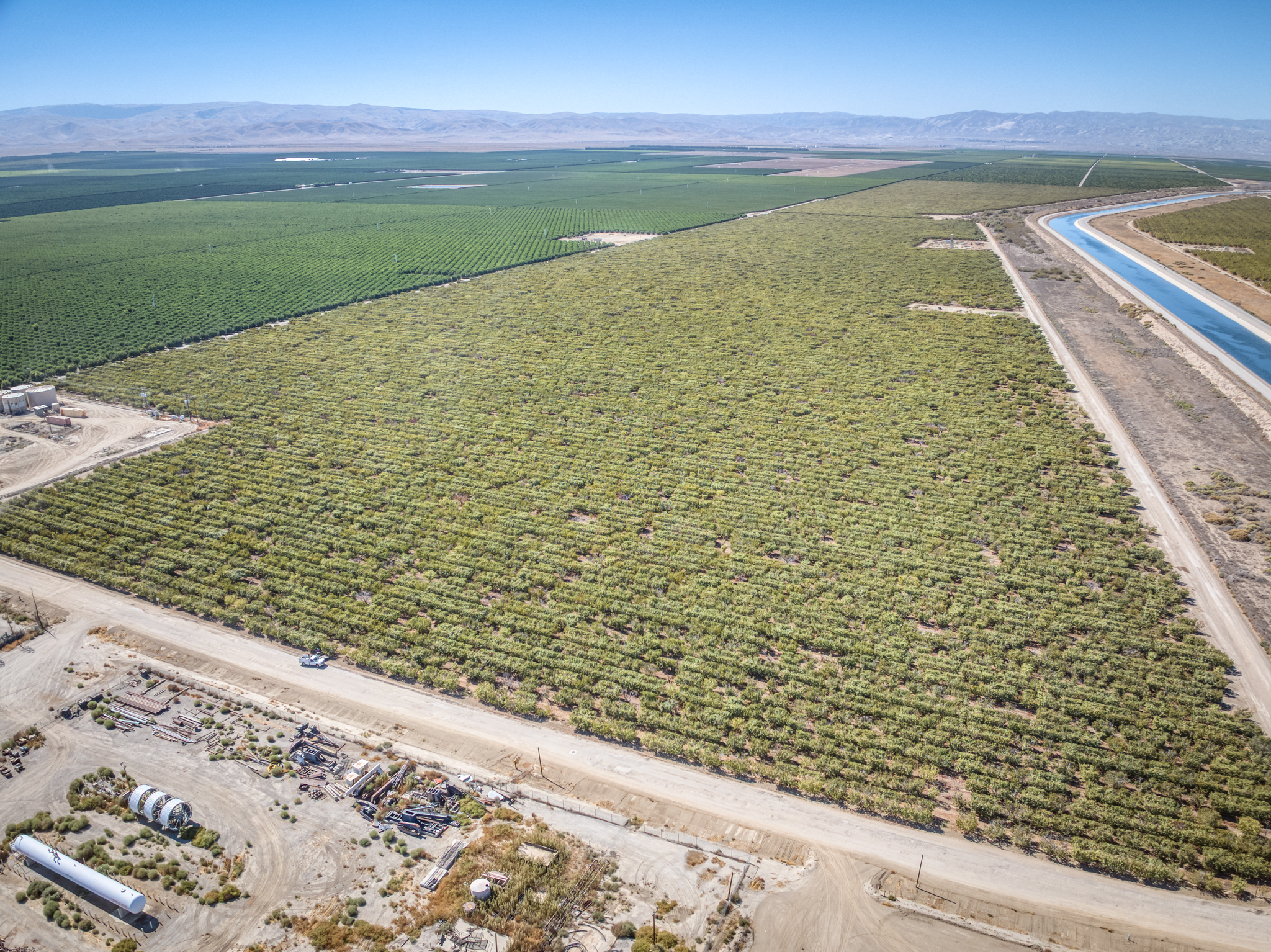 380.93 GROSS ACRES PLANTED TO CHERRIES WITH OPEN GROUND LOCATED IN WHEELER RIDGE-MARICOPA WATER STORAGE DISTRICT