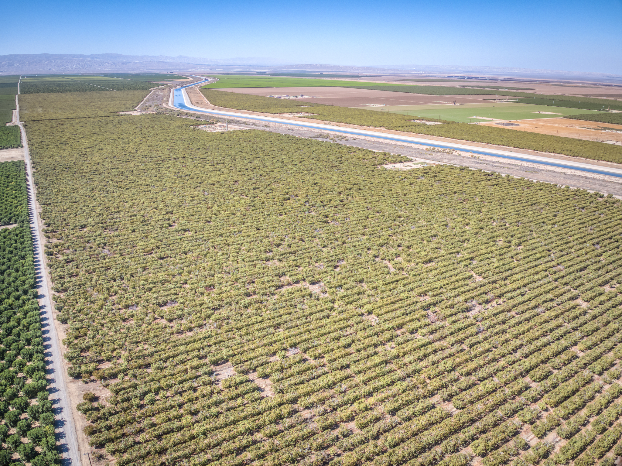 380.93 GROSS ACRES PLANTED TO CHERRIES WITH OPEN GROUND LOCATED IN WHEELER RIDGE-MARICOPA WATER STORAGE DISTRICT