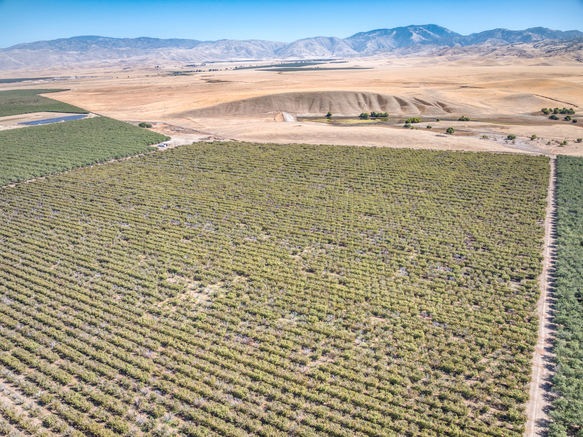 117.47 GROSS ACRES PLANTED TO CHERRIES WITH OPEN GROUND LOCATED IN WHEELER RIDGE-MARICOPA WATER STORAGE DISTRICT