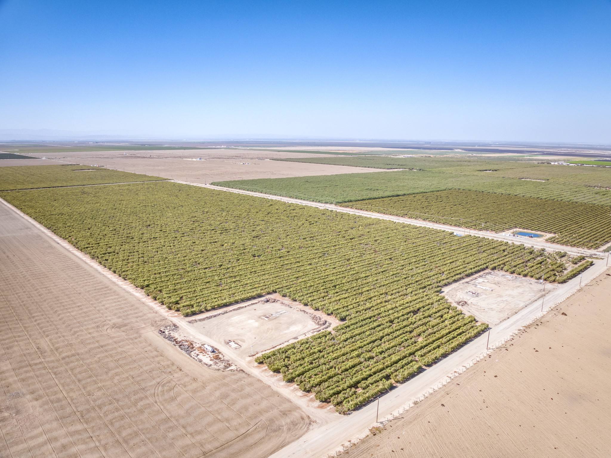 215.8 GROSS ACRES PLANTED TO CHERRIES WITH OPEN GROUND LOCATED IN WHEELER RIDGE-MARICOPA WATER STORAGE DISTRICT