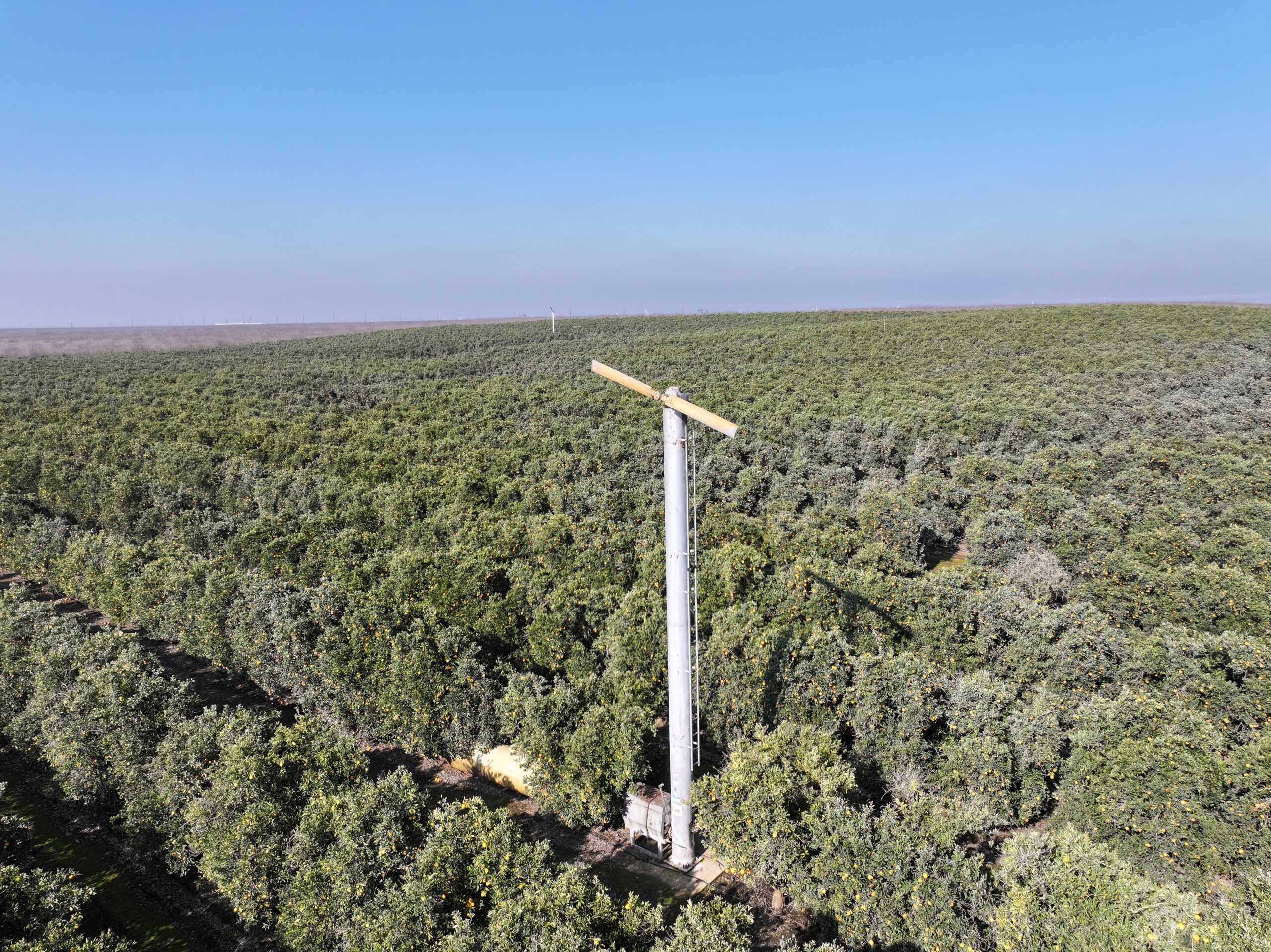 40.13 GROSS ACRES PLANTED TO CARA CARA CITRUS BENEFITING FROM A CONTRACT ALLOCATION WITH KERN-TULARE WATER DISTRICT